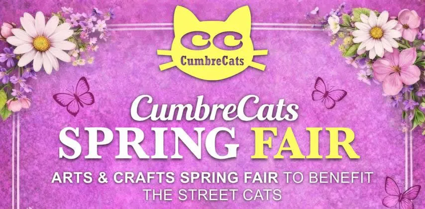 Poster for the CumbreCats Spring Fair, an arts and crafts fair to benefit the street cats