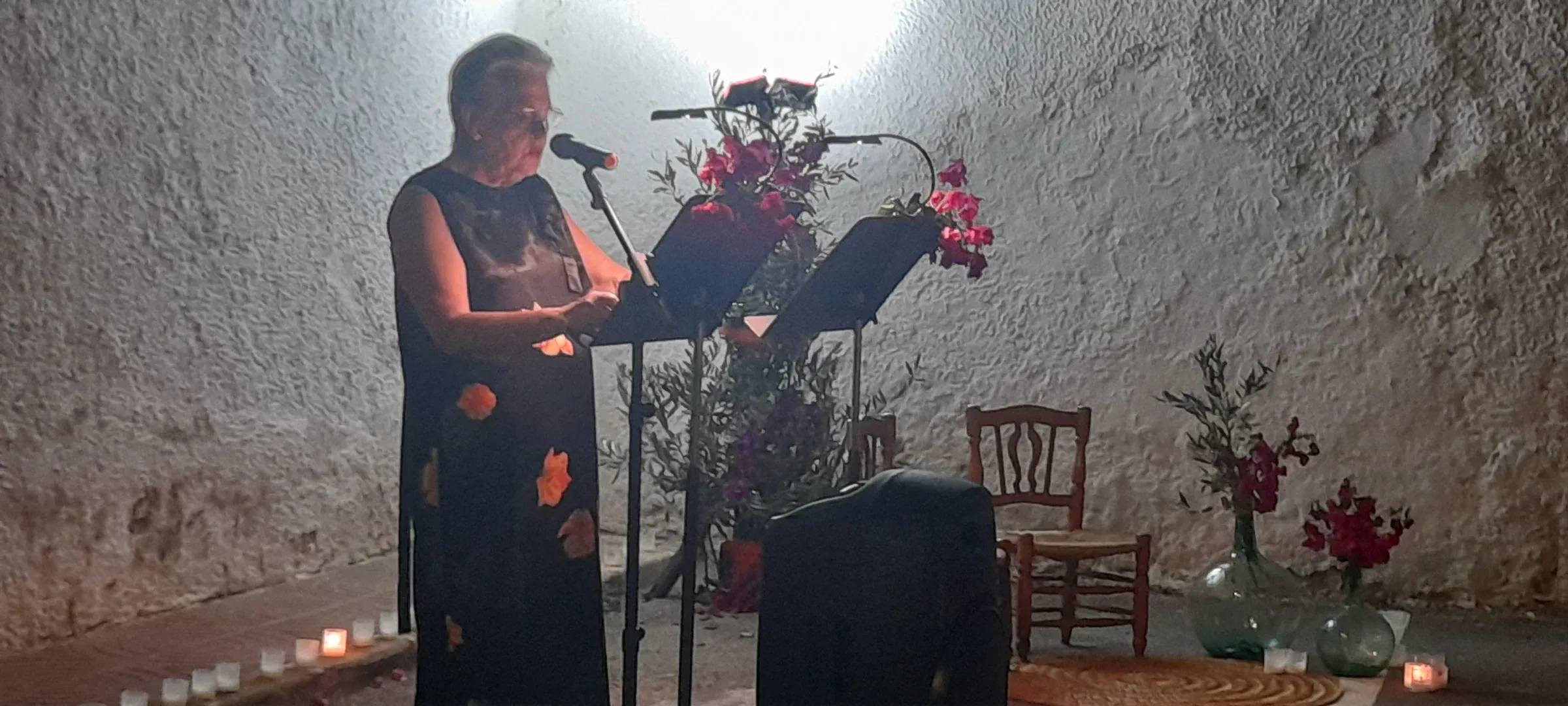 Fotografía 21 de 25, Literatura bajo las estrellas / Literatura a la Fresca