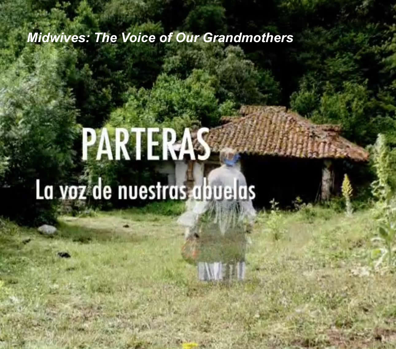 Midwives documentary